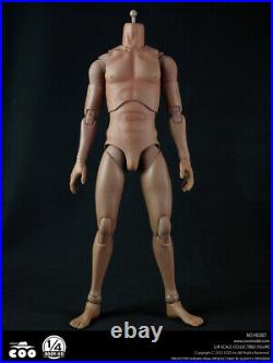 1/4 Scale Standard Male Body COOMODEL HD001 18Tan Action Figure Body