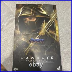Avengers Endgame Hawkeye/Ronin Deluxe Ver Marvel 1/6 Figure Hot Toys MMS532 MCU