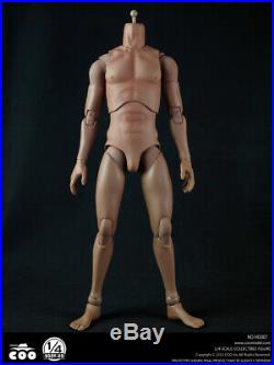 COOMODEL 1/4 Scale HD001 Standard 18 Male Figure Body Collectible Toys Presale