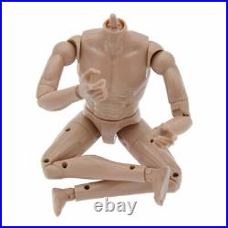 HeadPlay Narrow Shoulder 16 Scale Action Figure Male Nude Muscular Body Toys US