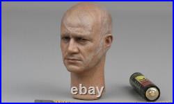 Head Sculpt for Hottoys HT TMS034 1/6 Scale Action Figure
