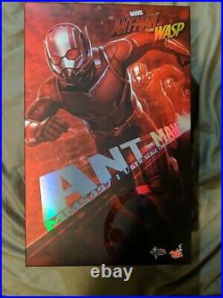 Hot Toys Ant-Man 1/6 Scale Figure Ant-Man & The Wasp Paul Rudd MMS497
