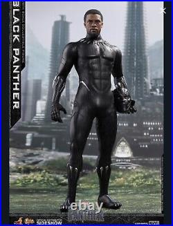 Hot Toys Black Panther 1/6 Scale Action Figure (MMS470)