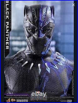 Hot Toys Black Panther 1/6 Scale Action Figure (MMS470)