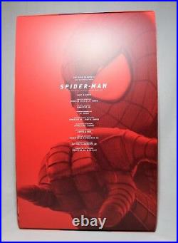 Hot Toys MMS 244 The Amazing Spider Man 2 1/6 scale figure MINT CONDITION