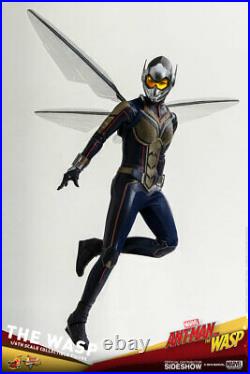 Hot Toys Marvel Ant-Man and the Wasp The Wasp 1/6 Scale Figure In Stock MISB