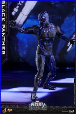 Hottoys 1/6 Scale Black Panther TChalla Chadwick Boseman Custom Action Figure