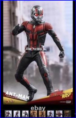 Movie Masterpiece Ant-Man Wasp Ant-Man 1/6scale Action Figure From Japan