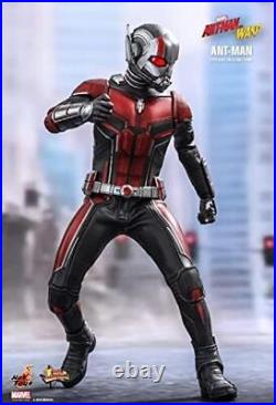 Movie Masterpiece Ant-Man Wasp Ant-Man 1/6scale Action Figure Hot Toys Marvel