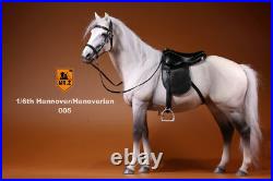 Mr. Z 1/6 Germany Hannover Horse Hanoverian Animal Model Scale 12 Action Figure