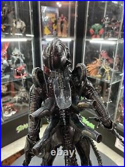 NECA Aliens Xenomorph Warrior 1/4 Scale Action Figure MINT Alien Predator
