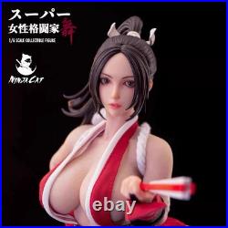 NINJA CAT Female fighter Kyoko Hidan 1/6 scale Action Figure