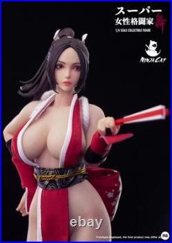 NINJA CAT Female fighter Kyoko Hidan 1/6 scale Action Figure