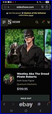 QMx Princess Bride Westly Dread Pirate Roberts 16 Scale Articulated Figure QMx Princess Bride Westly Dread Pirate Roberts 16 Scale Articulated Figure