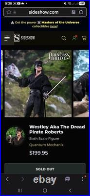 QMx Princess Bride Westly Dread Pirate Roberts 16 Scale Articulated Figure QMx Princess Bride Westly Dread Pirate Roberts 16 Scale Articulated Figure