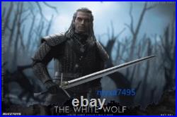 The Witcher The White Wolf BUZ001 1/6 Scale Male Action Figure Collection New