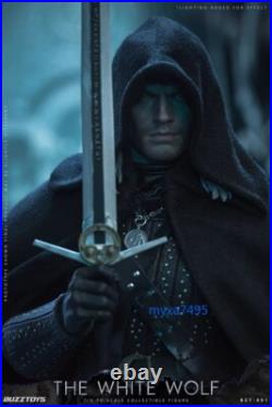 The Witcher The White Wolf BUZ001 1/6 Scale Male Action Figure Collection New