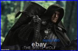 The Witcher The White Wolf BUZ001 1/6 Scale Male Action Figure Collection New