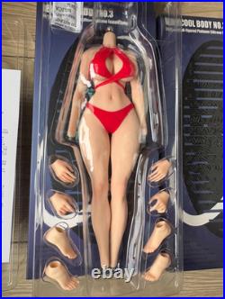 VERYCOOL VCD-03 1/6 Fullness Body Platinum Silicone Body(NO details)