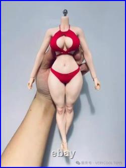 VERYCOOL VCD-03 1/6 Fullness Body Platinum Silicone Body(NO details)