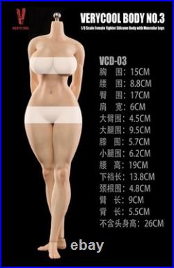 VERYCOOL VCD-03 1/6 Fullness Body Platinum Silicone Body(NO details)