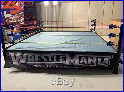 WWE Authentic Scale Ring Wicked Cool Toys for WWE figures RARE excellent